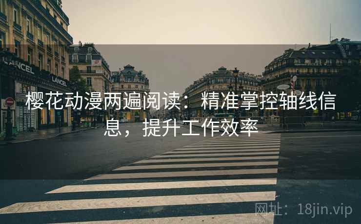 樱花动漫两遍阅读：精准掌控轴线信息，提升工作效率